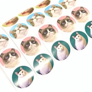 Cute Cat Face Round Stickers - Assorted Pastel Backgrounds